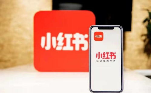杭州噫融網(wǎng)絡(luò) 以專業(yè)運(yùn)營(yíng)驅(qū)動(dòng)小紅書種草推廣，助力計(jì)算機(jī)軟硬件品牌搶占市場(chǎng)先機(jī)